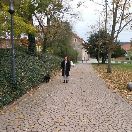 Am Kurpark Apartment